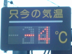 １月３１日、本日の春野