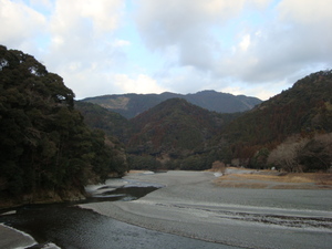 ２月２日、本日の春野