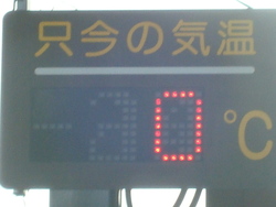 ２月２２日　本日の春野は霧
