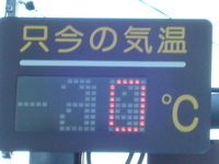本日の春野はメチャ寒い