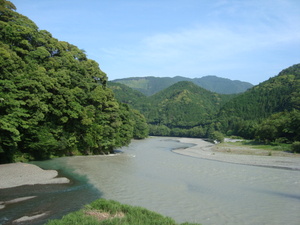６月１４日本日の春野