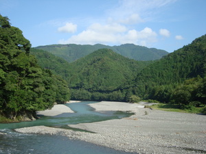 ８月３日　本日の春野