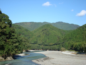 １０月４日　本日の春野