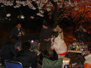 磐田夜桜JAM?