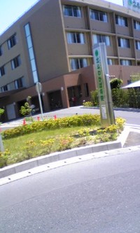 嗚呼・・両膝 2007/06/04 10:41:44