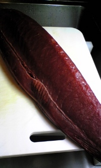 バチ鮪 2007/06/21 18:22:53