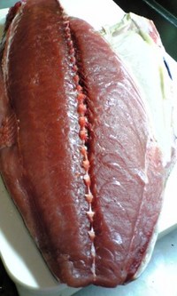 今日の鮪 2007/07/06 14:53:30