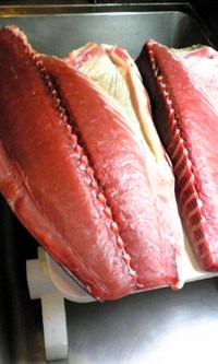 今日の鮪 2007/07/12 22:58:34