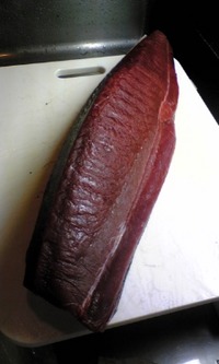 今日の鮪 2007/07/20 14:27:20