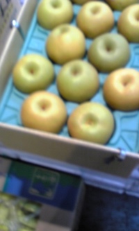 梅雨明けまだなのに 2007/07/25 16:31:48