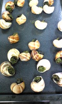 今度のコース料理 2007/09/07 15:44:42