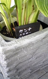いつの間に 2007/10/07 16:44:19