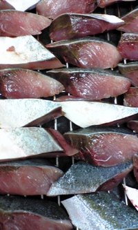 お魚 2007/11/02 01:19:23