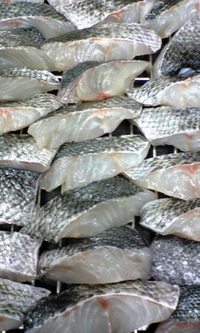 ぎふや膳の焼き魚 2007/12/05 00:30:59