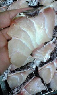コース料理の魚 2007/12/12 07:45:54