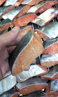 今度の焼き魚は 2007/12/07 00:36:57