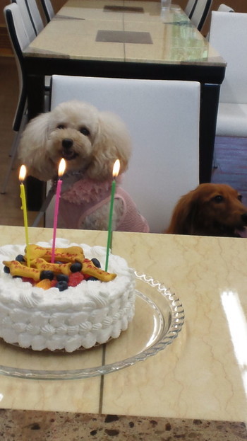 誕生日ケーキ