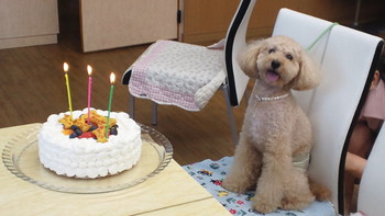 誕生日ケーキ