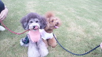 逃走 2011/10/03 22:44:52