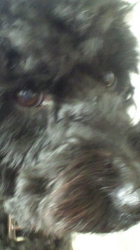 ムムッ 2011/11/13 13:24:41