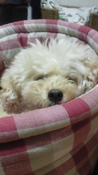 雨の日は 2011/11/19 12:33:30