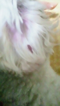 勝負 2011/11/20 11:51:27