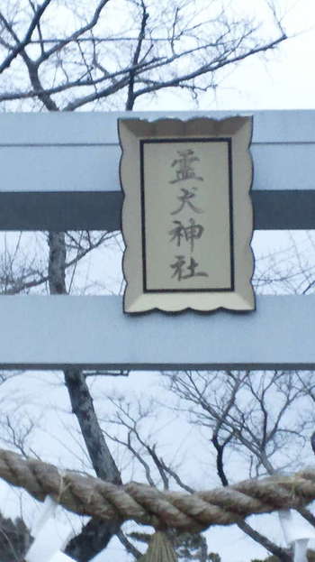 初詣は
