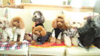 新年会 2012/01/03 21:35:29