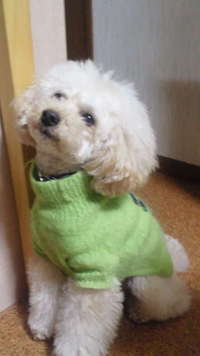 (;´∩｀)ガマン 2012/02/11 19:56:18