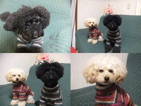 新しくしました 2012/02/23 12:09:10