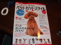載ちゃいました