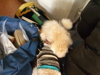 Bフレッツが来～た