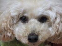 ティガーくん 2012/02/12 21:12:06