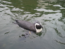 花鳥園
