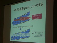 リトル講習×矢場とん×手羽先