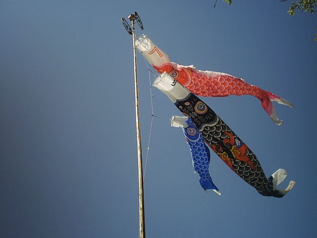 快晴・・・うま吉ぐり茶の里