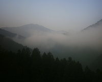 今朝の霧です。