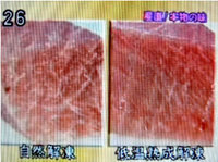 日本テレビニュースプラス１で放映された、解凍比較の画像