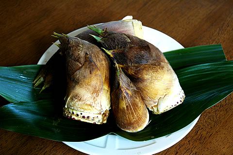 筍