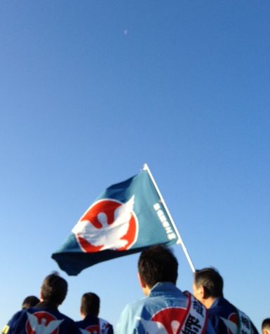 浜ごりから始まる八幡町の凧まつり