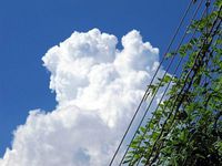 定休日のお知らせ