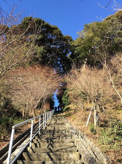 2017.2.12 ： 神社（白山神社百段坂）　