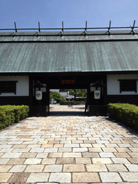 北の丸 2013/05/17 15:25:19