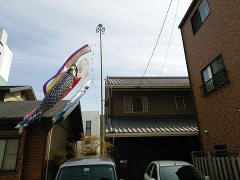屋根より高い