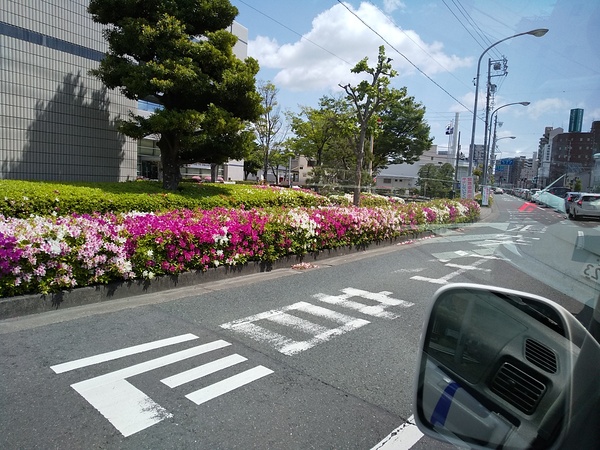 つつじが咲くと