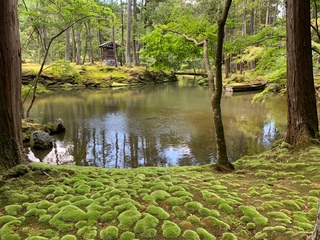 嵐山旅行