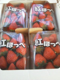 イチゴ 2014/12/03 08:07:29