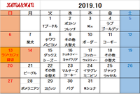 10月犬種別割引カレンダー♪ 2019/09/30 14:51:01