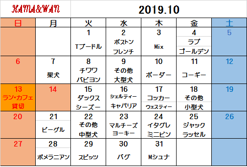 10月犬種別割引カレンダー♪