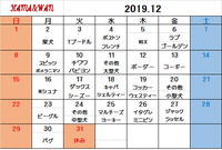 12月犬種別割引カレンダー♪ 2019/11/29 16:41:20